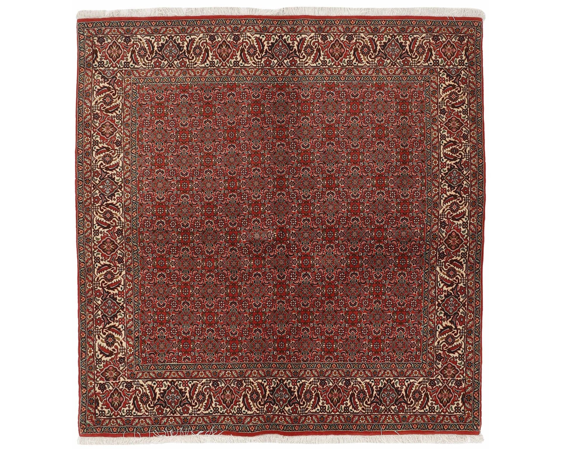 Bidjar Zandjan orientalisk matta 195 x 201 cm