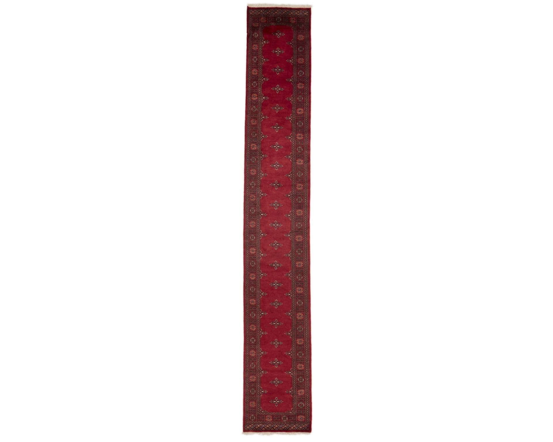 Pakistan handknotted orientalisk matta 80 x 507 cm