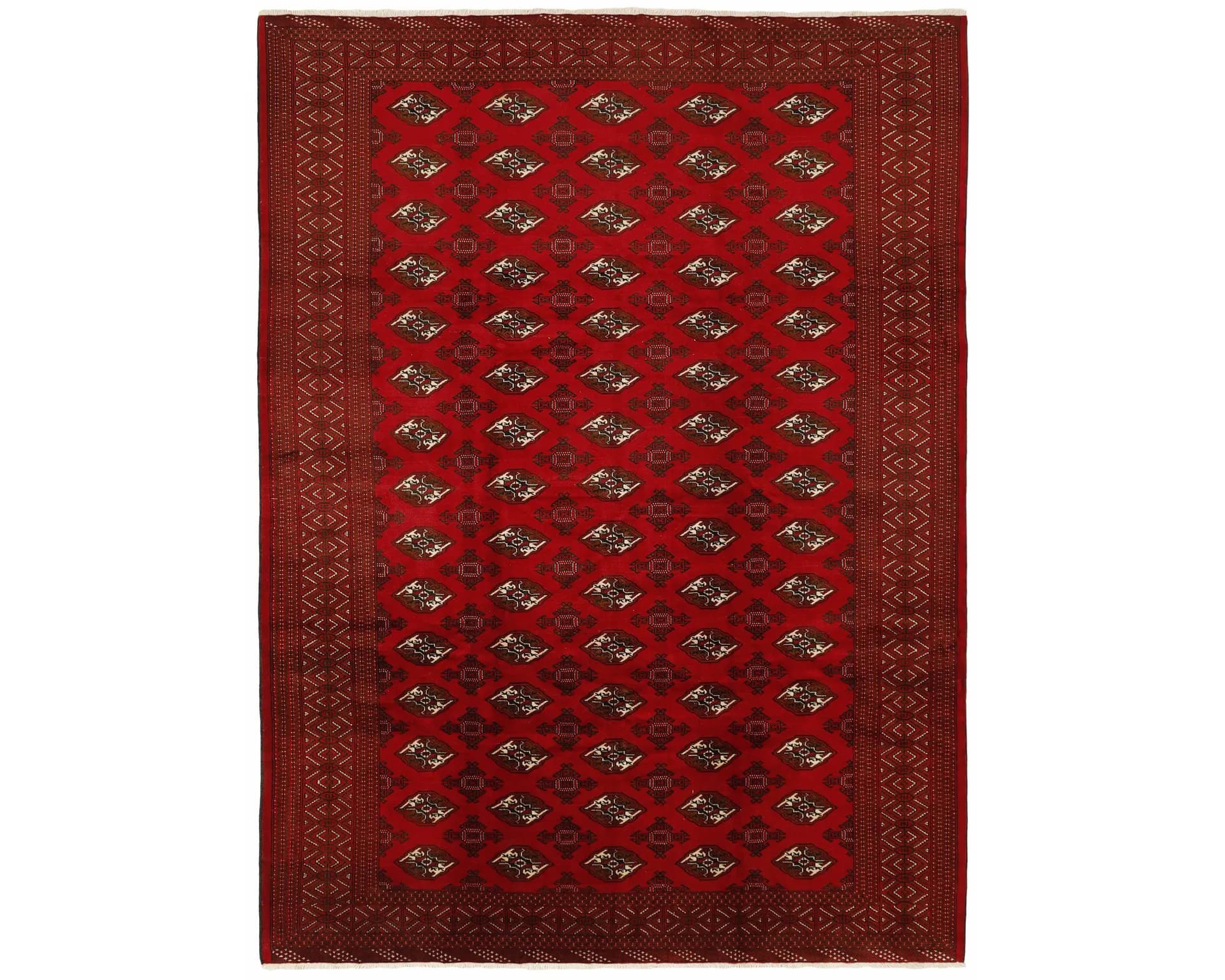 Rezas orientalisk x Torkaman matta 249 x 338 cm