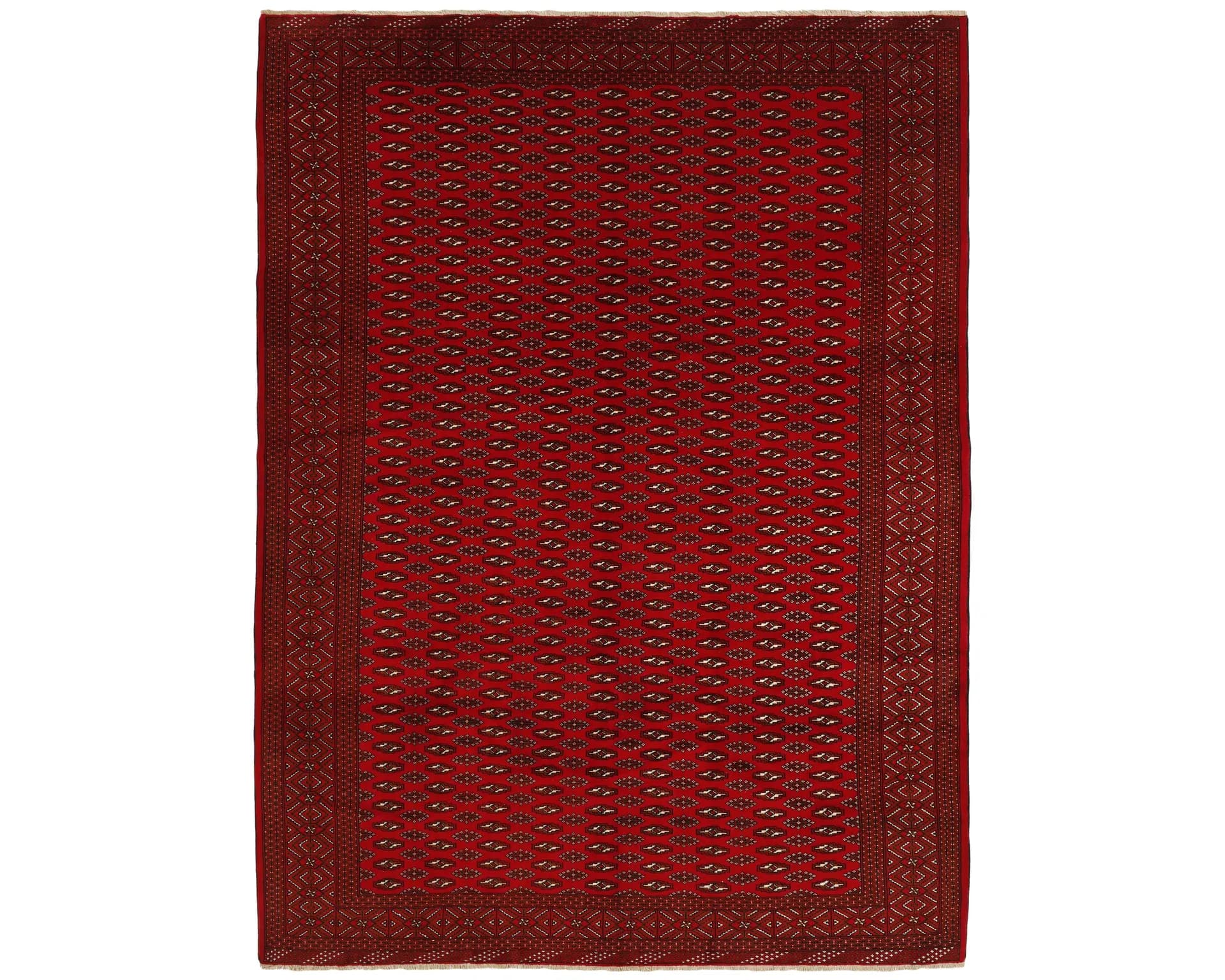 Rezas orientalisk x Torkaman matta 256 x 339 cm