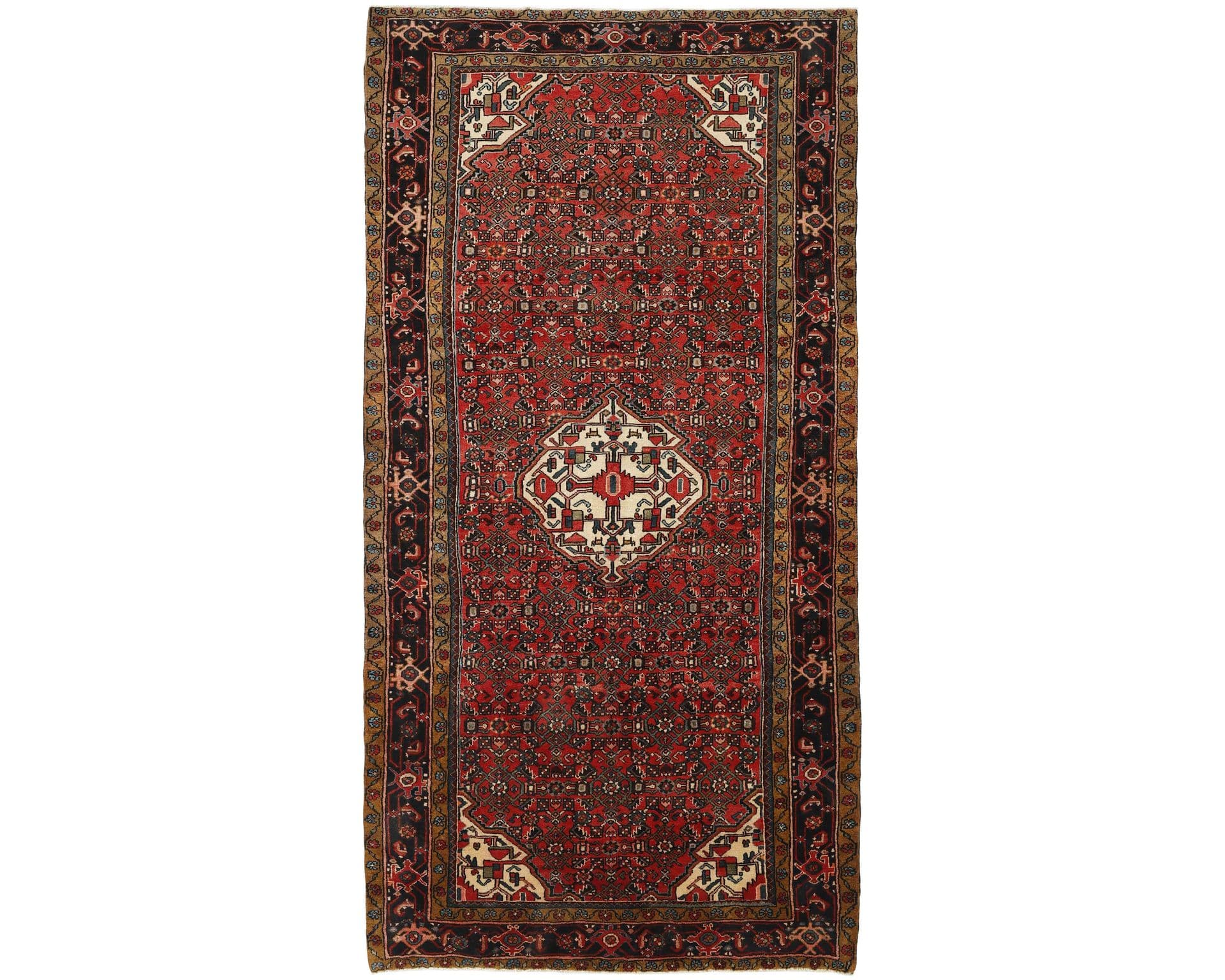 Asadabad orientalisk matta 168 x 327 cm