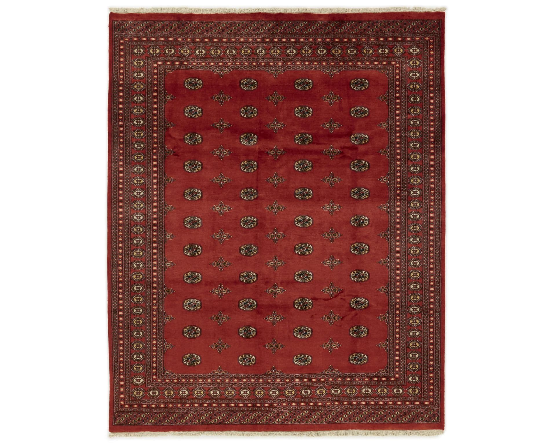 Pakistan handknotted orientalisk matta 245 x 305 cm