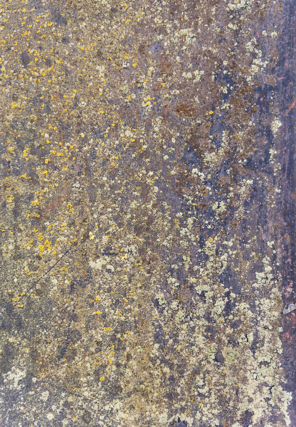 Wiltonmatta - Rey (blå/multi) (Storlek: 200 x 280 cm)