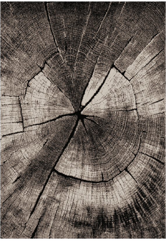 Wiltonmatta - Event (grå) (Storlek: 200 x 280 cm)