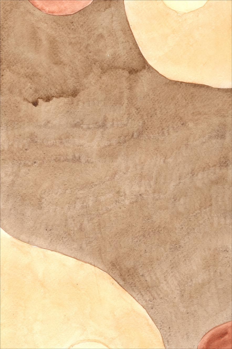 Wiltonmatta - Nisa (brun/beige) (Storlek: 180 x 270 cm)
